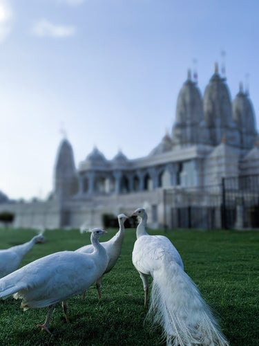 Why Makrana Marble Is Perfect for Temples, Monuments & Enduring Legacy